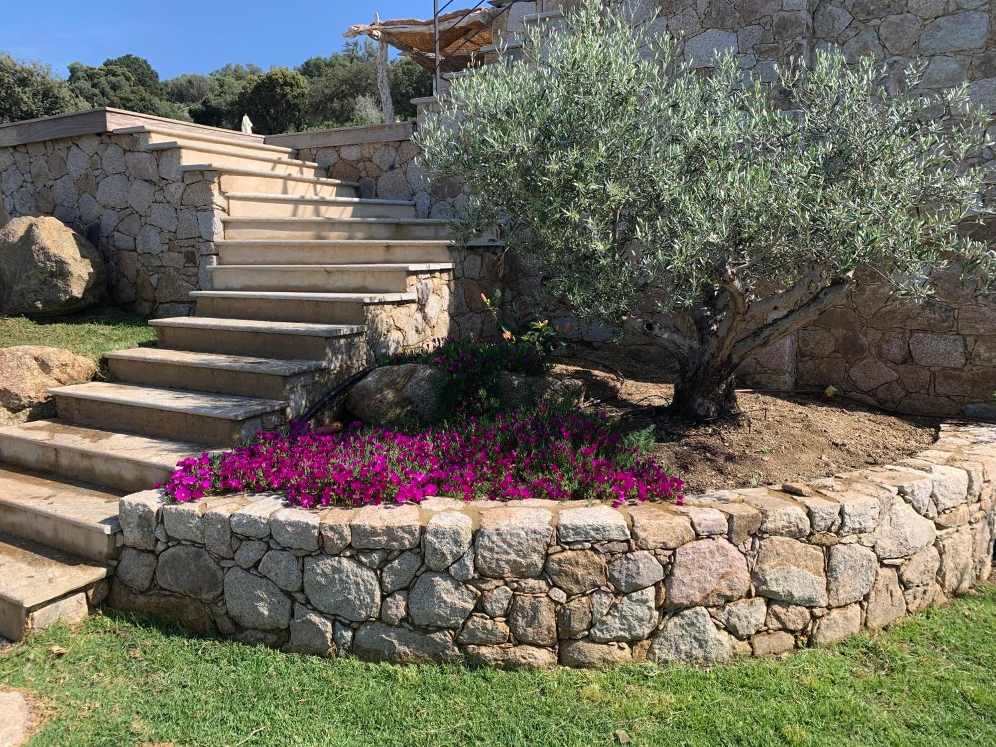 Villa Macagna Corbara Exterior photo