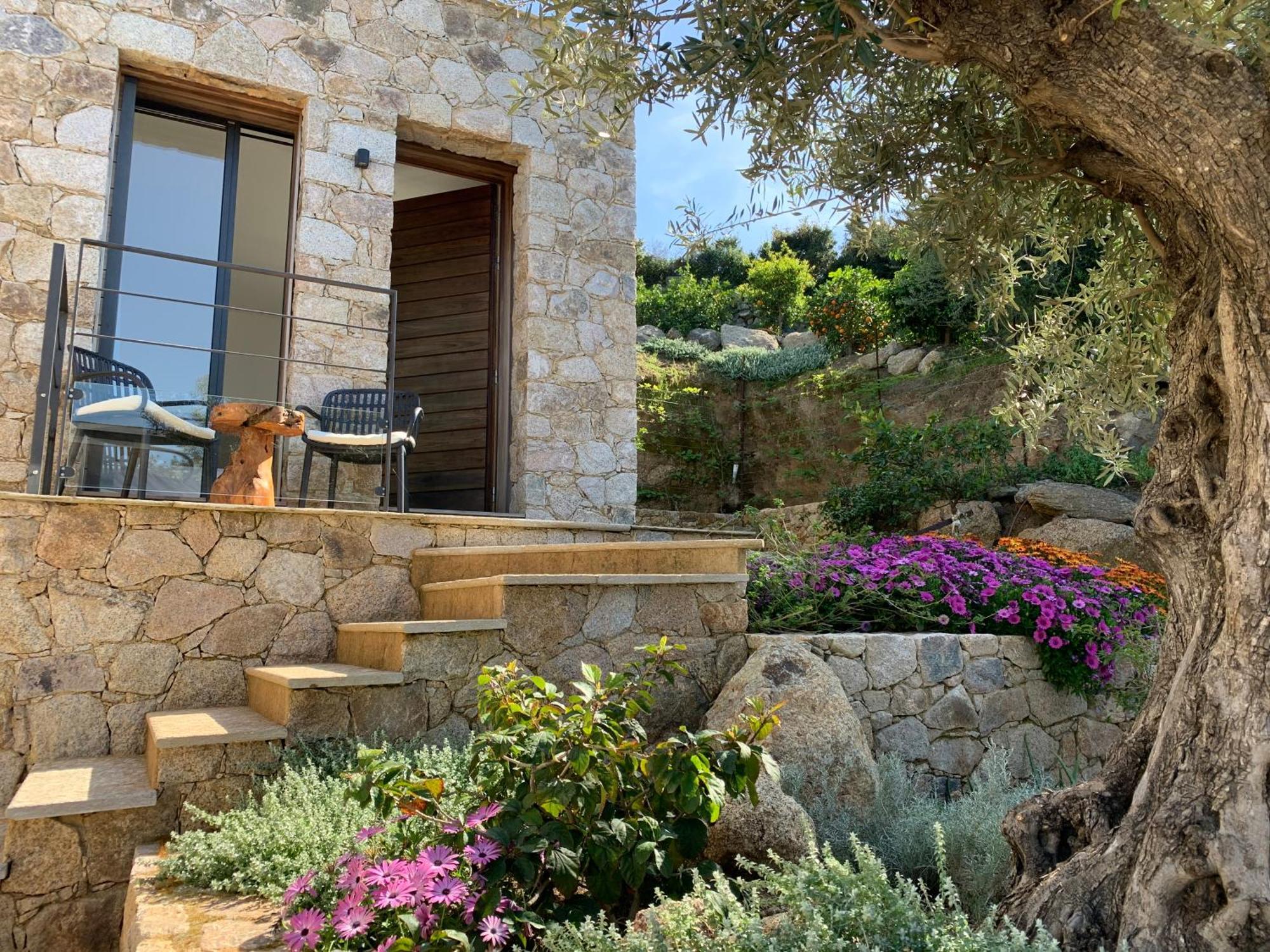 Villa Macagna Corbara Exterior photo